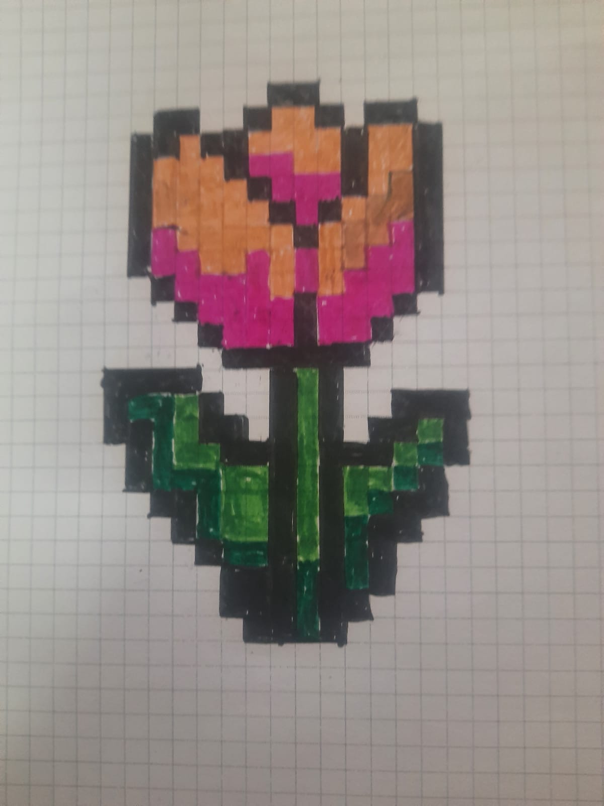Bloom Series